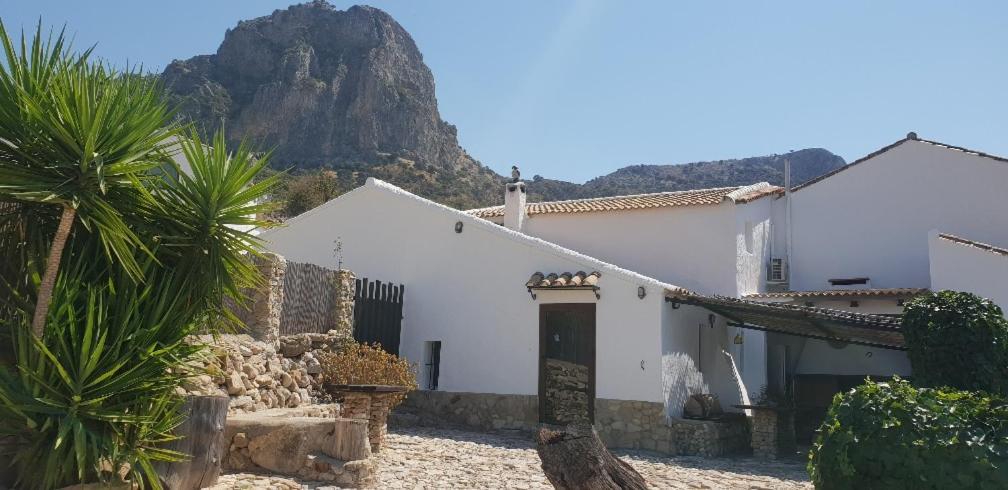 Cortijo El Pajar Guest House เอลกัสตอร์ ภายนอก รูปภาพ