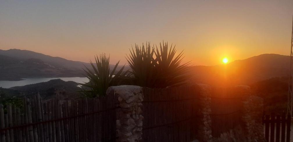 Cortijo El Pajar Guest House เอลกัสตอร์ ภายนอก รูปภาพ